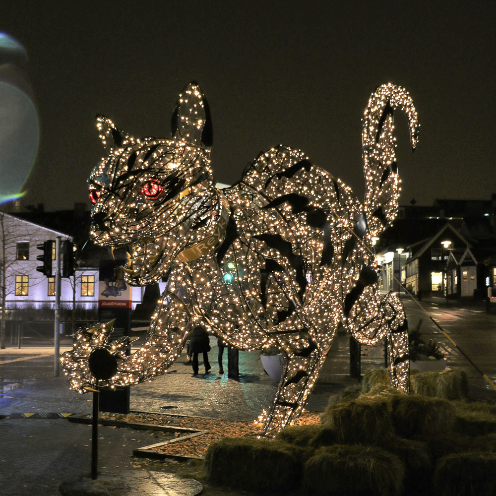 Icelandic Christmas Cat Downtown Reykjavik