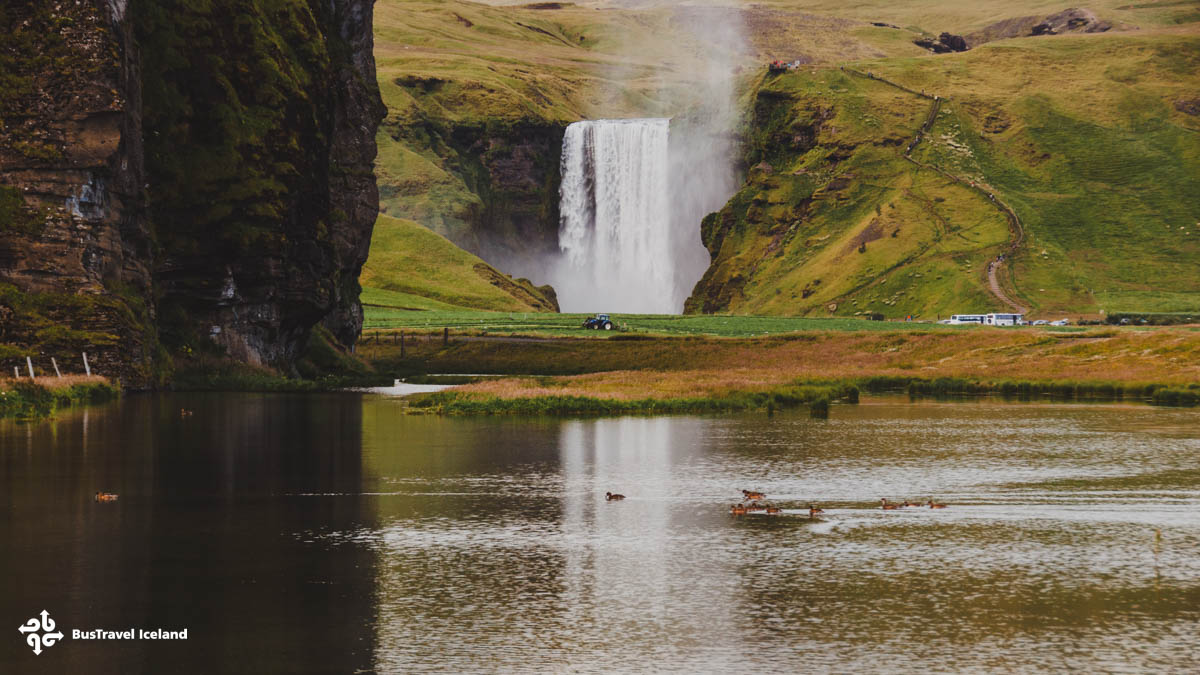 iceland tour skogafoss