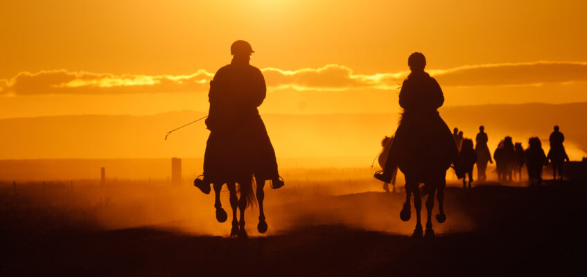 horseback riding in iceland