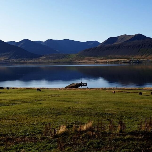 A typical Icelandic working farm situated in idyllic surroundings on the coastline of Dýrar fjord.