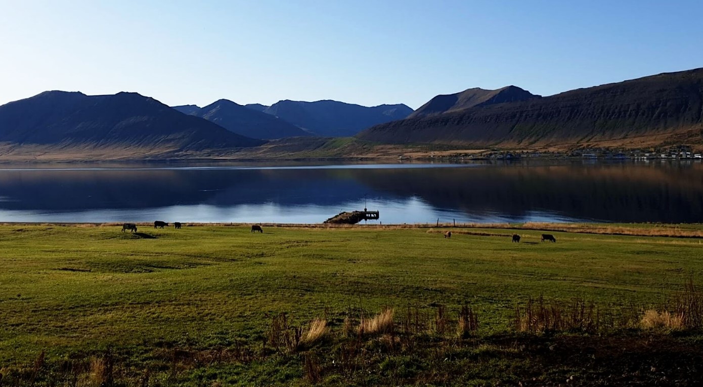 A typical Icelandic working farm situated in idyllic surroundings on the coastline of Dýrar fjord.