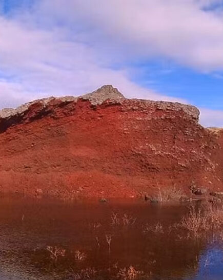Horse Riding tour in Heidmork Red Lava from Reykjavik 7