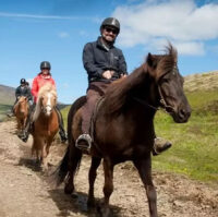 Horse rising through the icelandic countryside