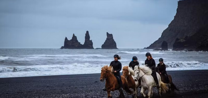 vik horse tour