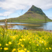 Kirkjufell Mountain and blooming field