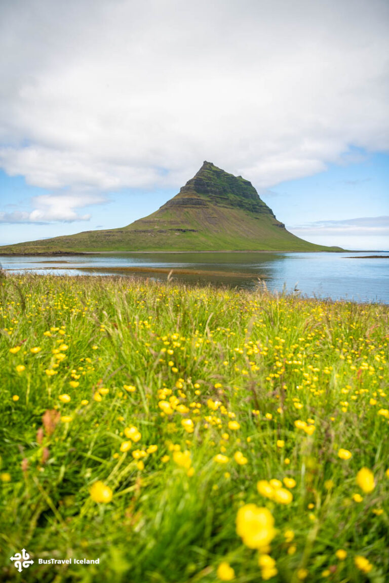 Kirkjufell Mountain and Waterfall Snaefellsnes-2443