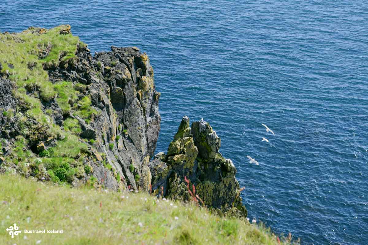 Lóndrangar Basalt Cliffs in summer