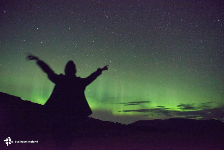 A person happy to see the Northern Lights