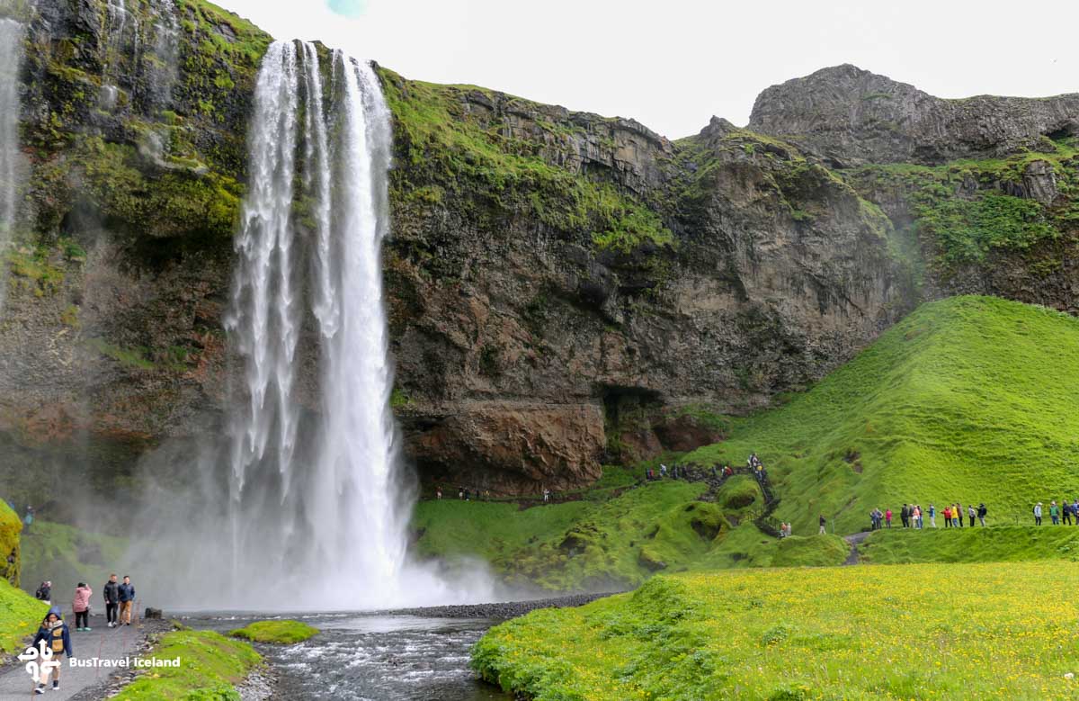 Seljalandsfoss waterfall in summer