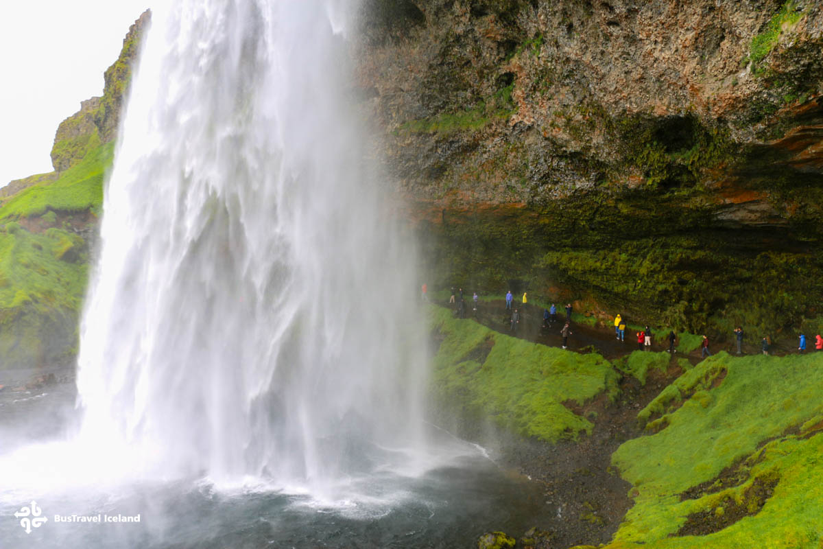 seljalandsfoss tourist information