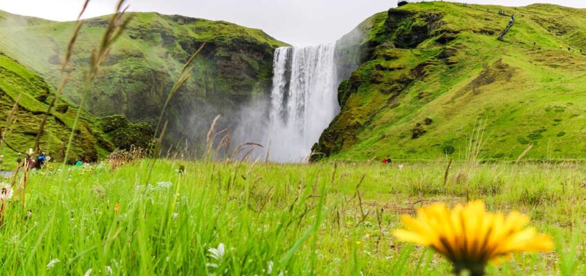 Skogafoss waterfall in summer