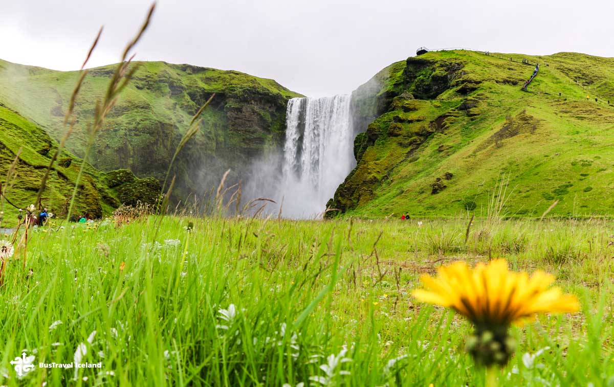 Skogafoss waterfall in summer