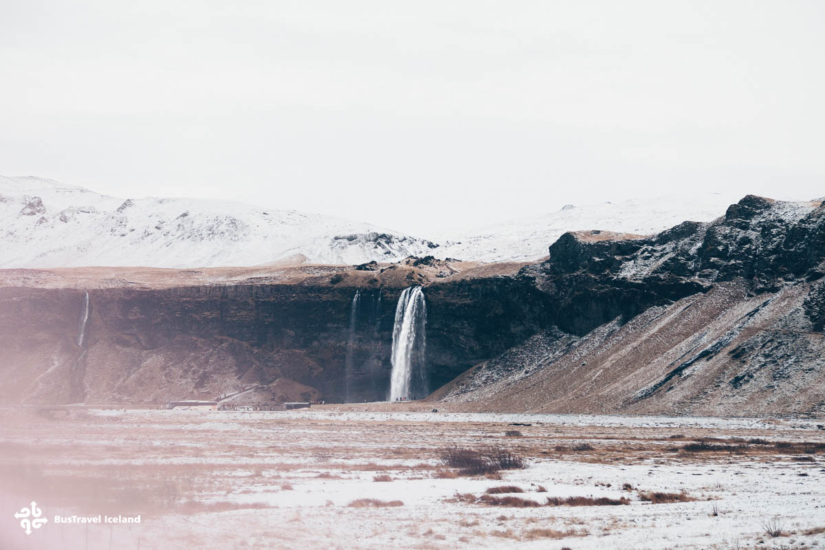 seljalandsfoss tourist information