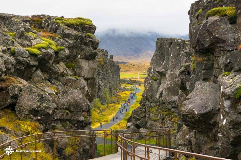 The Eurasian and North American tectonic plates