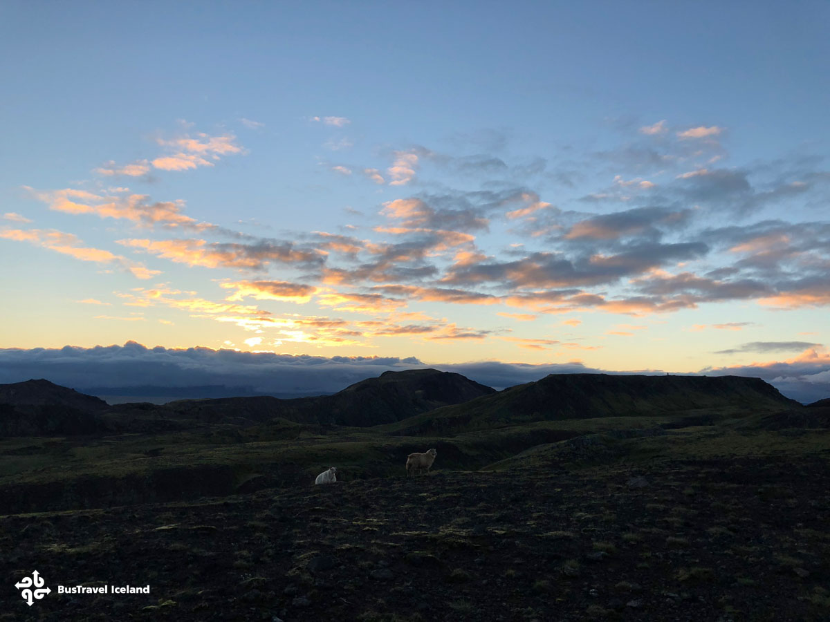 Experience Iceland's Magical Midnight Sun All Summer Long