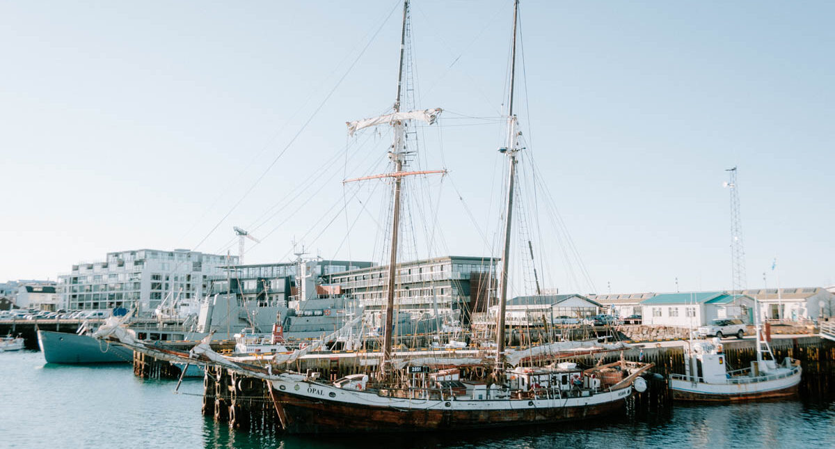 A Guide to Reykjavik’s Old Harbor: Your Gateway to Adventures