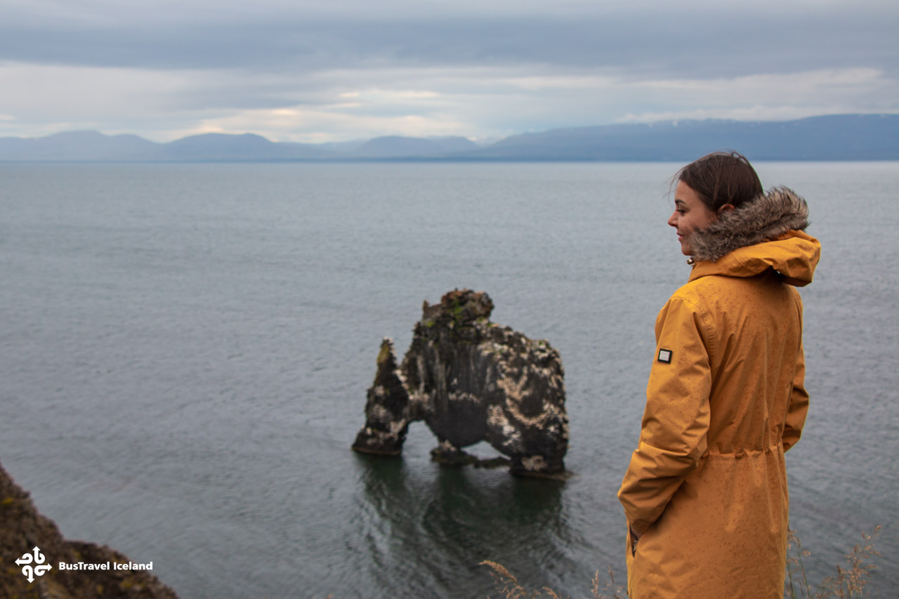 Hvítserkur rock in Northwest Iceland-7224 Hvítserkur rock in Northwest Iceland