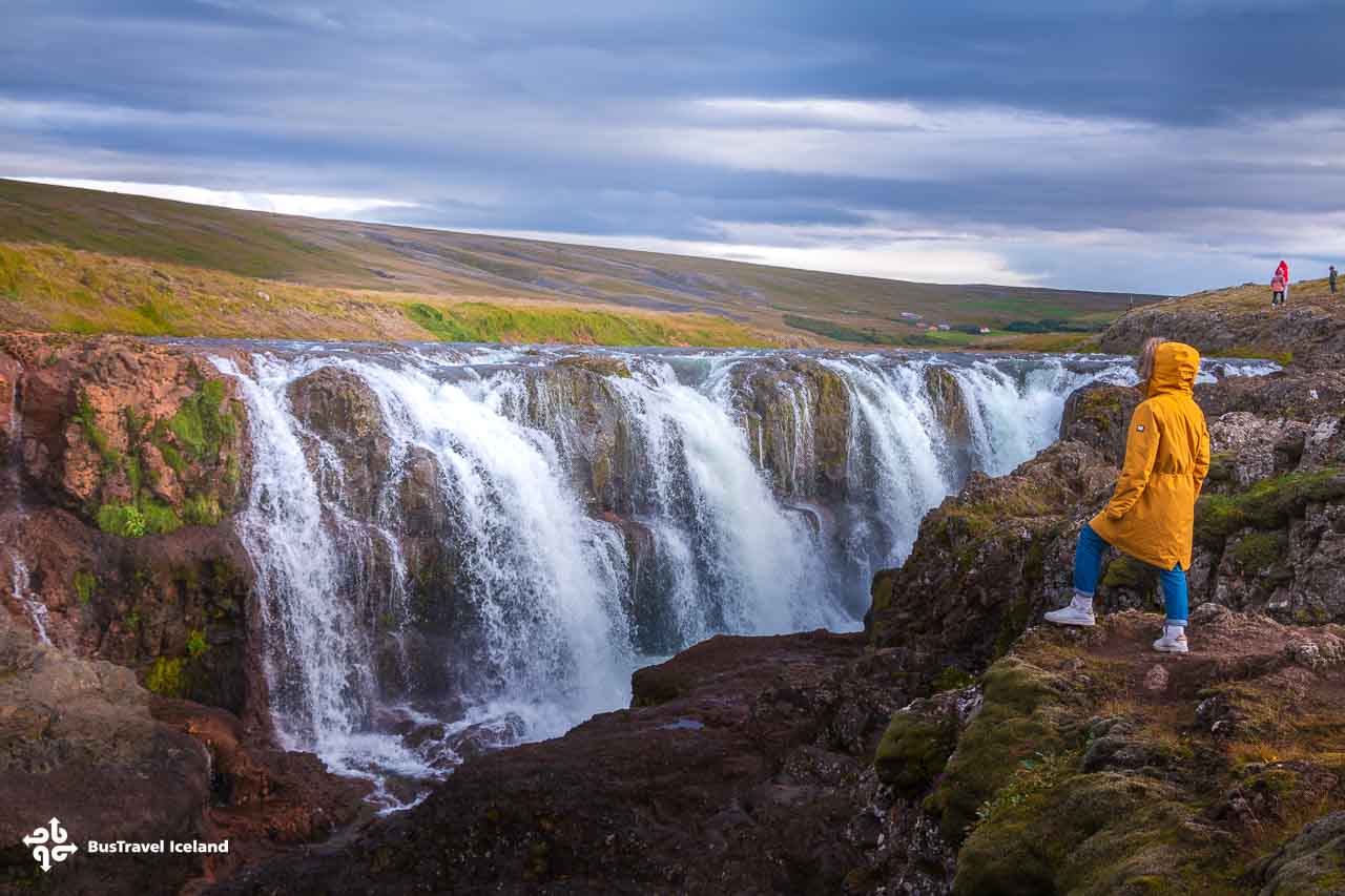Kolugljúfur canyon and waterfall in Northwest Iceland-7181 Kolugljúfur canyon and waterfall in Northwest Iceland