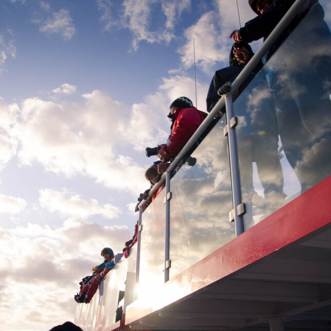 Classic-Whale-Watching-passengers-on-board Classic-Whale-Watching-passengers-on-board