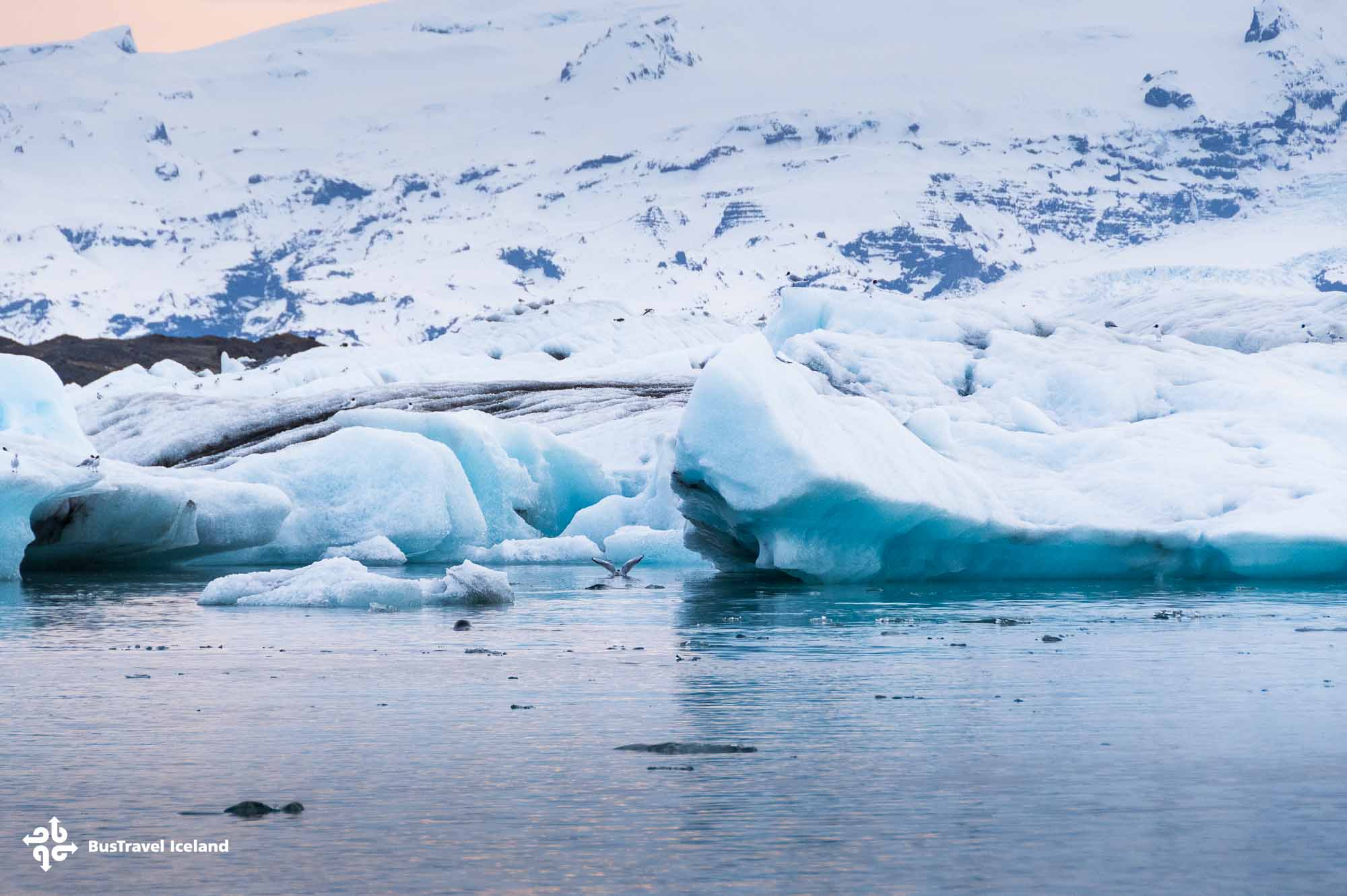 Jokulsarlon Glacier Lagoon in South Iceland-19 Jokulsarlon Glacier Lagoon filled with glacial icebergs in April 2025, South Iceland