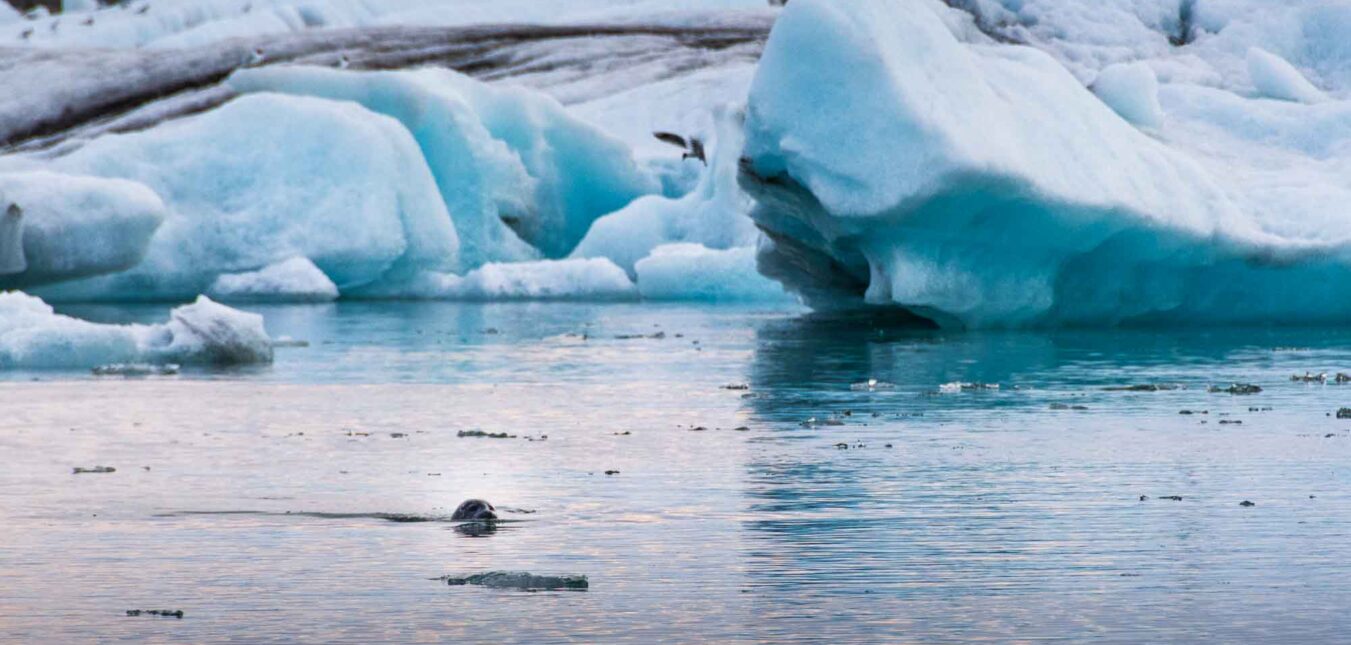 Jokulsarlon Glacier Lagoon in South Iceland-20 Jokulsarlon Glacier Lagoon filled with glacial icebergs in April 2025, South Iceland