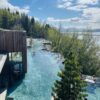 Forest Lagoon in spring