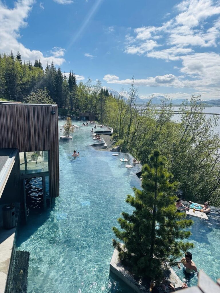 Forest Lagoon in spring