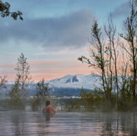 Forest Lagoon mountain view