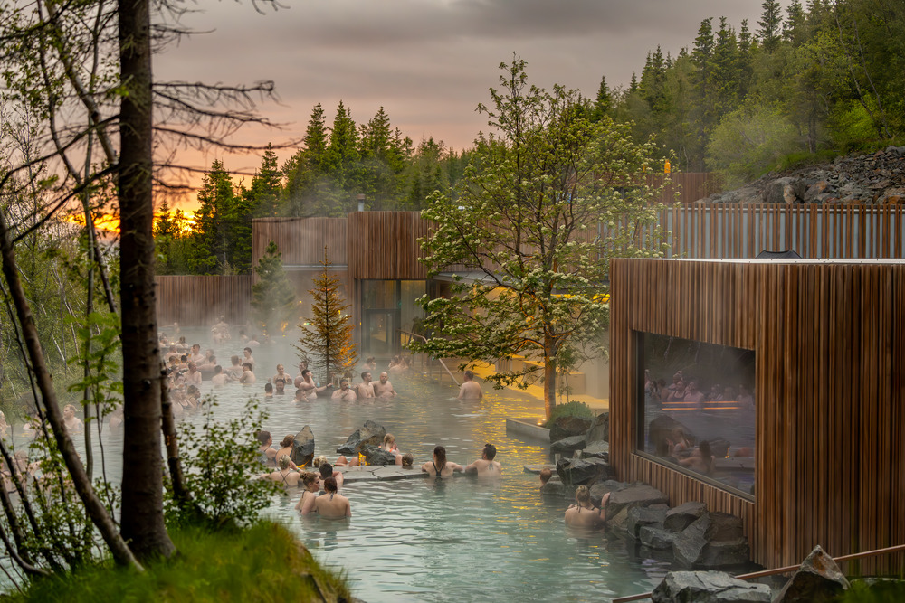 Forest Lagoon in summer