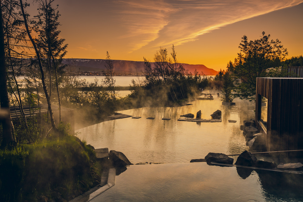 Forest Lagoon at sunset