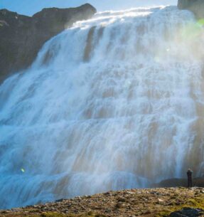 Dynjandi Waterfall & Farm Tour from Isafjordur