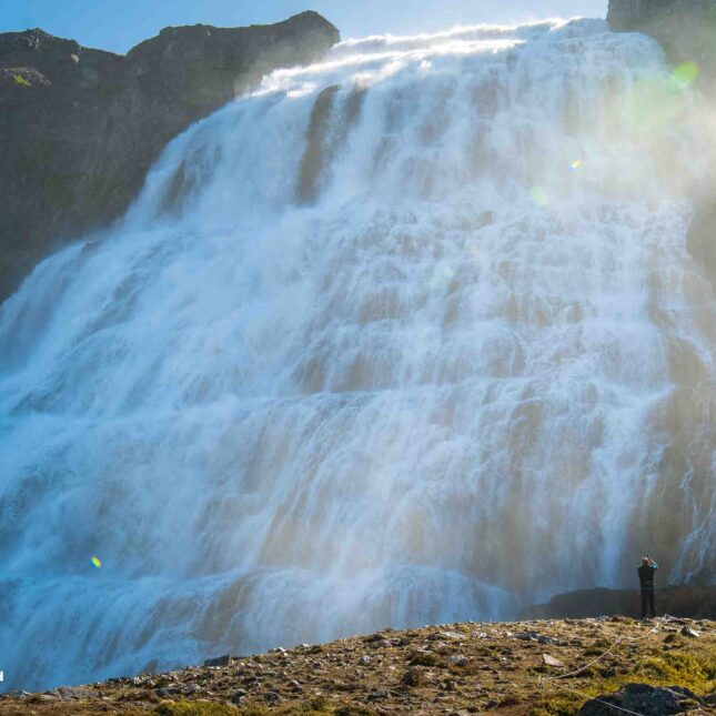 Dynjandi Waterfall & Farm Tour from Isafjordur