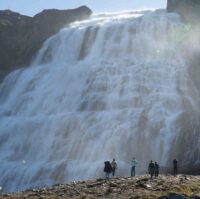 Dynjandi Waterfall & Farm Tour from Isafjordur