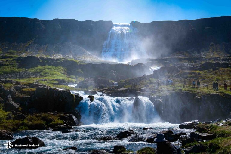 Dynjandi Waterfall & Farm Tour from Isafjordur