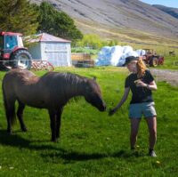 Dynjandi Waterfall & Farm Tour from Isafjordur-23 Dynjandi Waterfall & Farm Tour from Isafjordur-23
