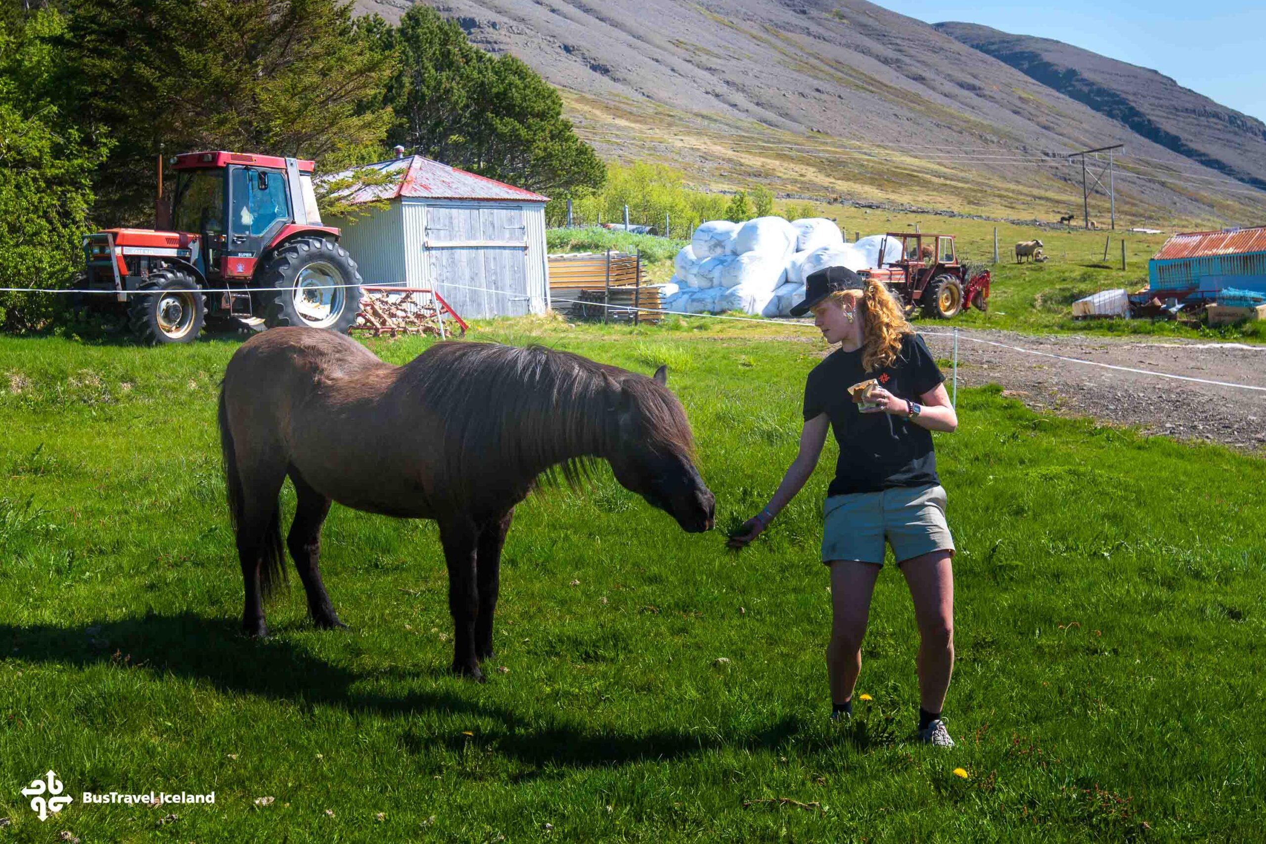 Dynjandi Waterfall & Farm Tour from Isafjordur-23