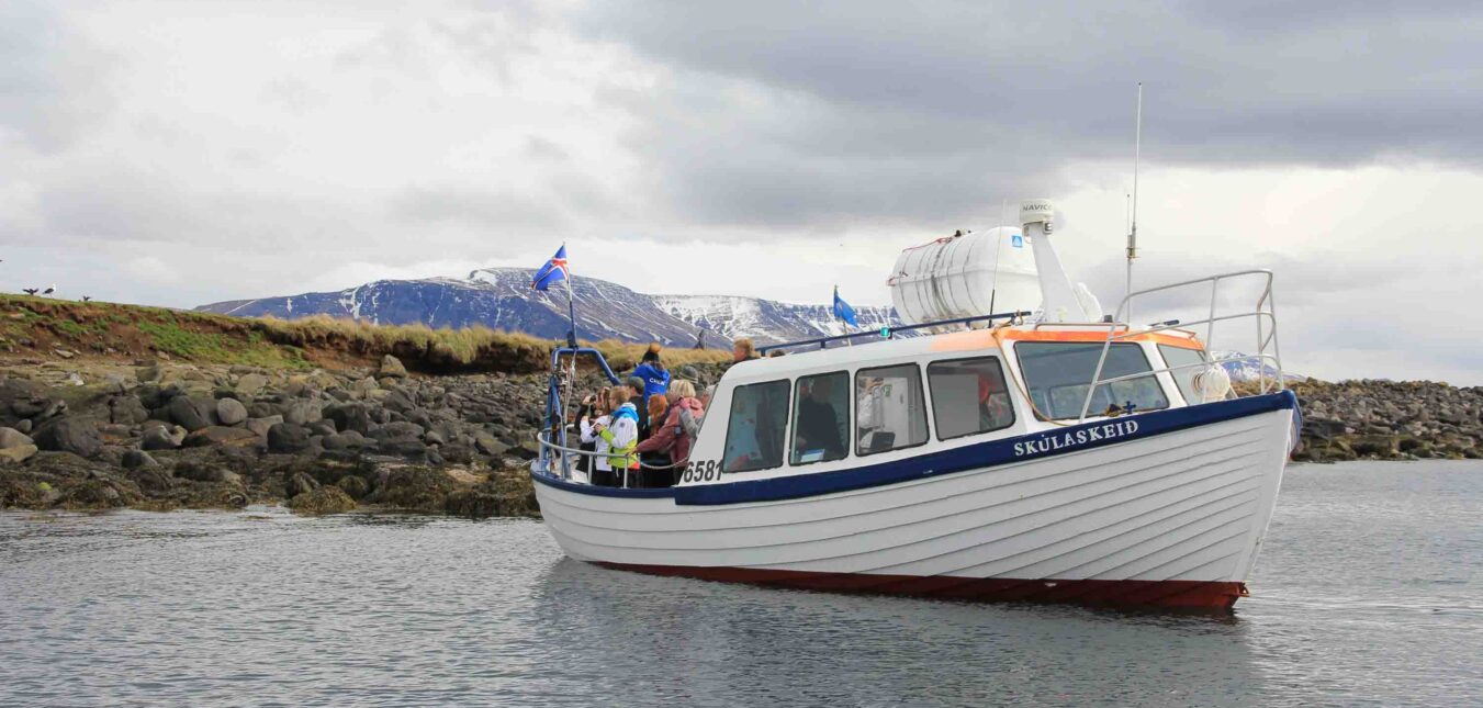 Puffin Watching Boat Tour from Reykjavik-23 Puffin Watching Boat Tour from Reykjavik-23