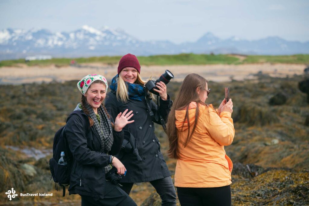 Ytri Tunga seals beach on Snaefellsnes Peninsula