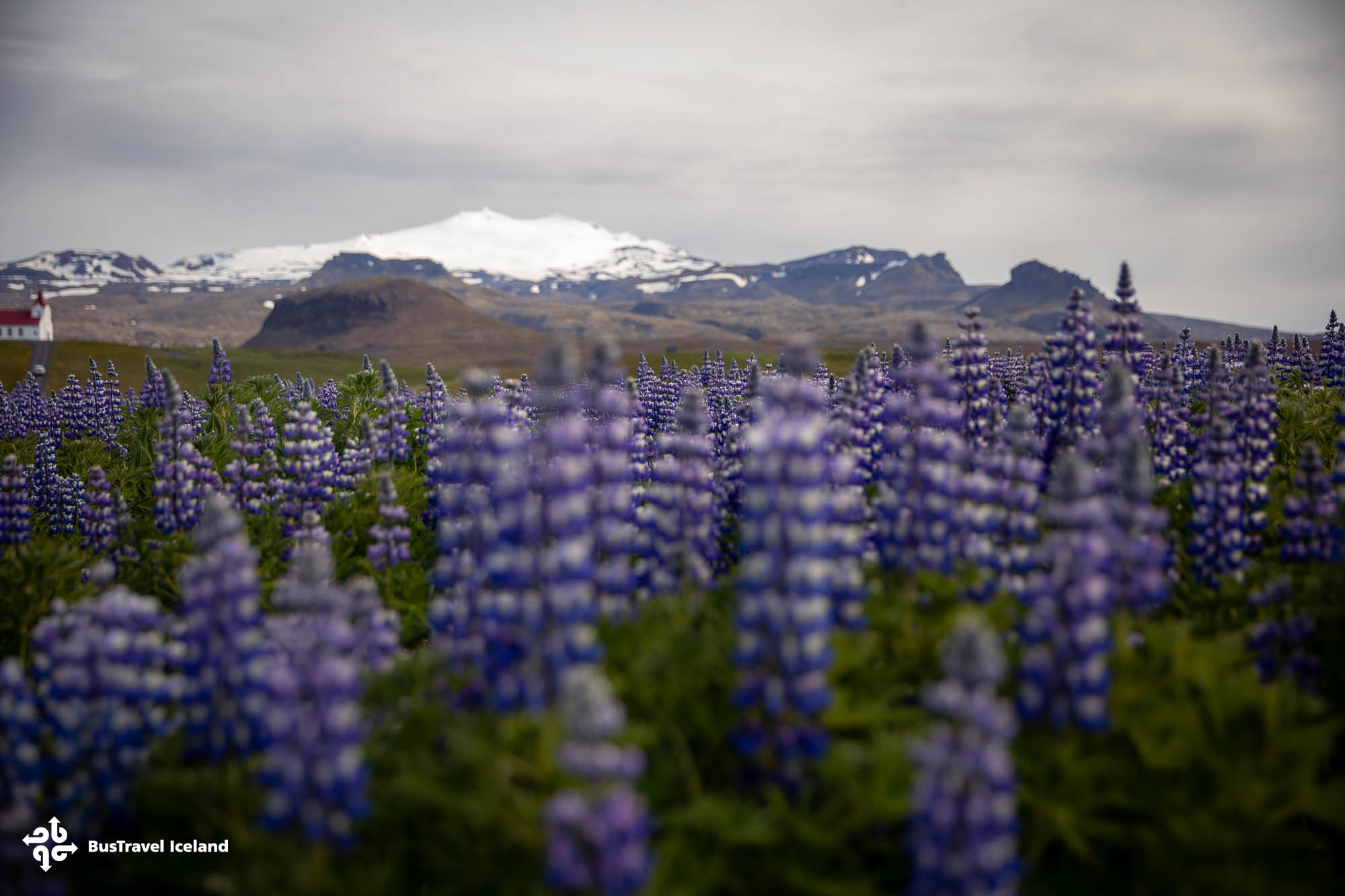 Summer in Snaefellsnes Peninsula-9692 Summer in Snaefellsnes Peninsula