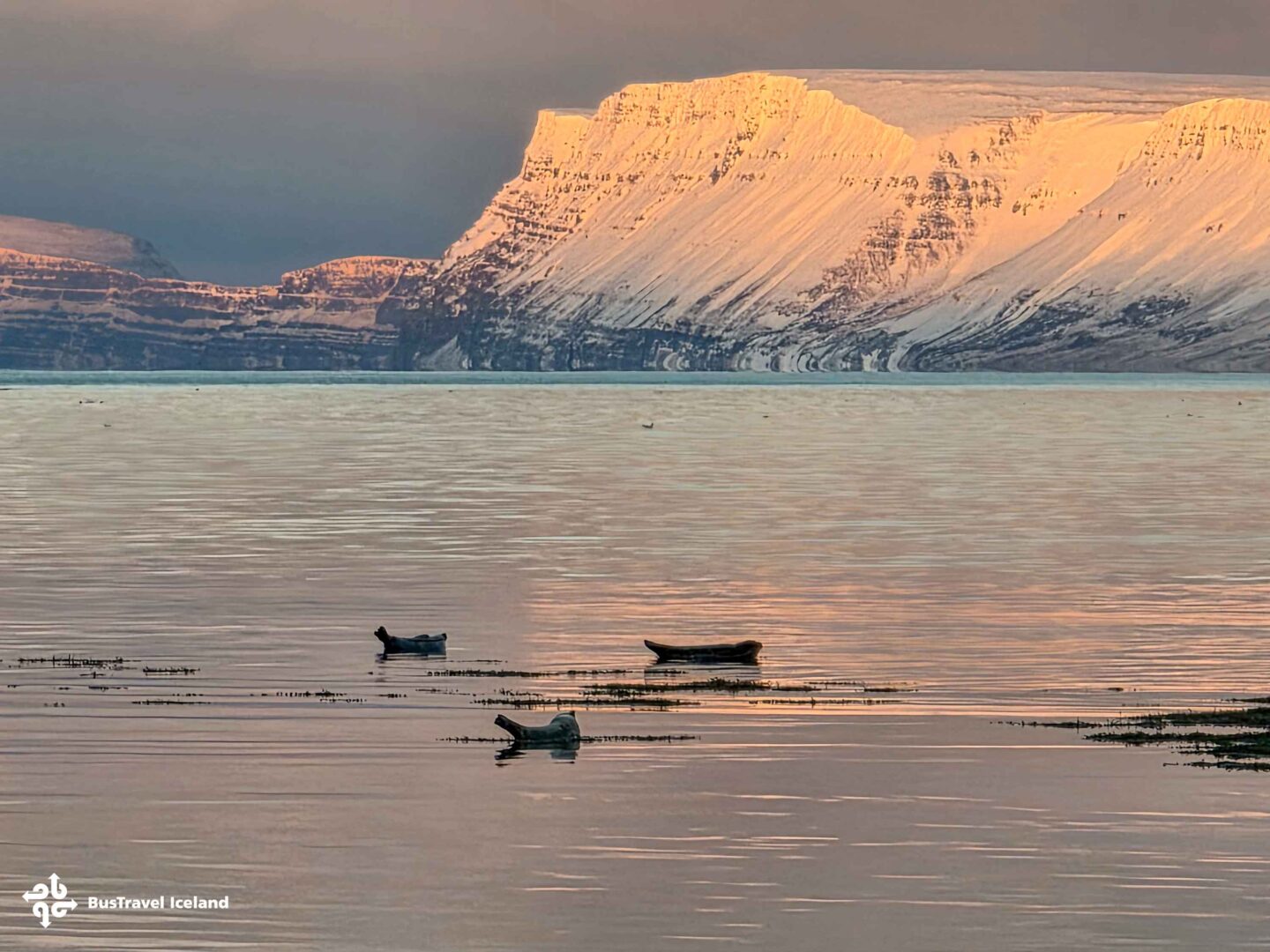 Súðavík Westfjords-133950