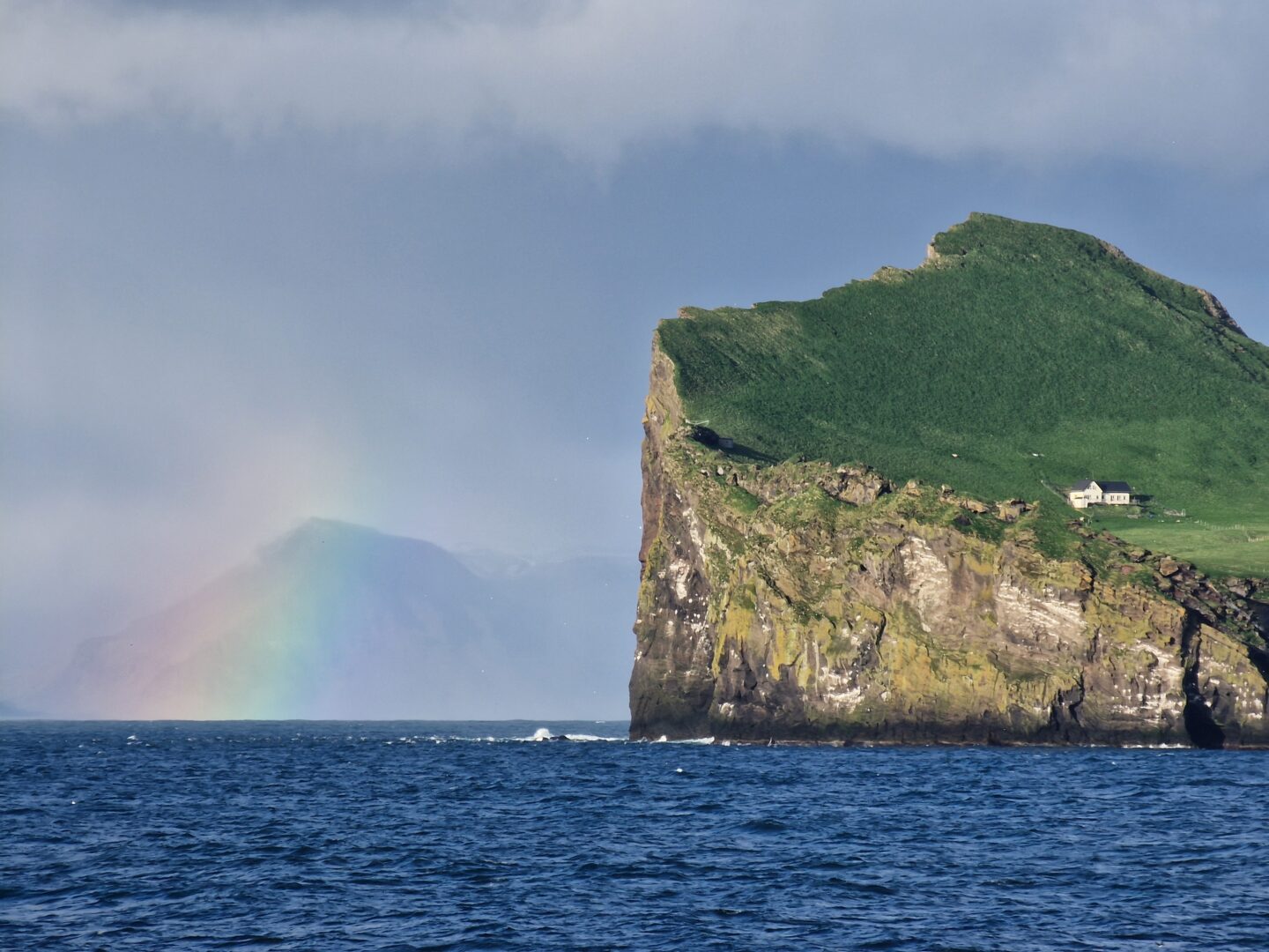 20250510_193907 westman