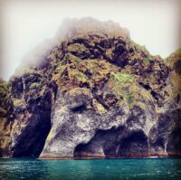 90A694A8-63FB-44C0-B06E-D1CA26DA9816 westman