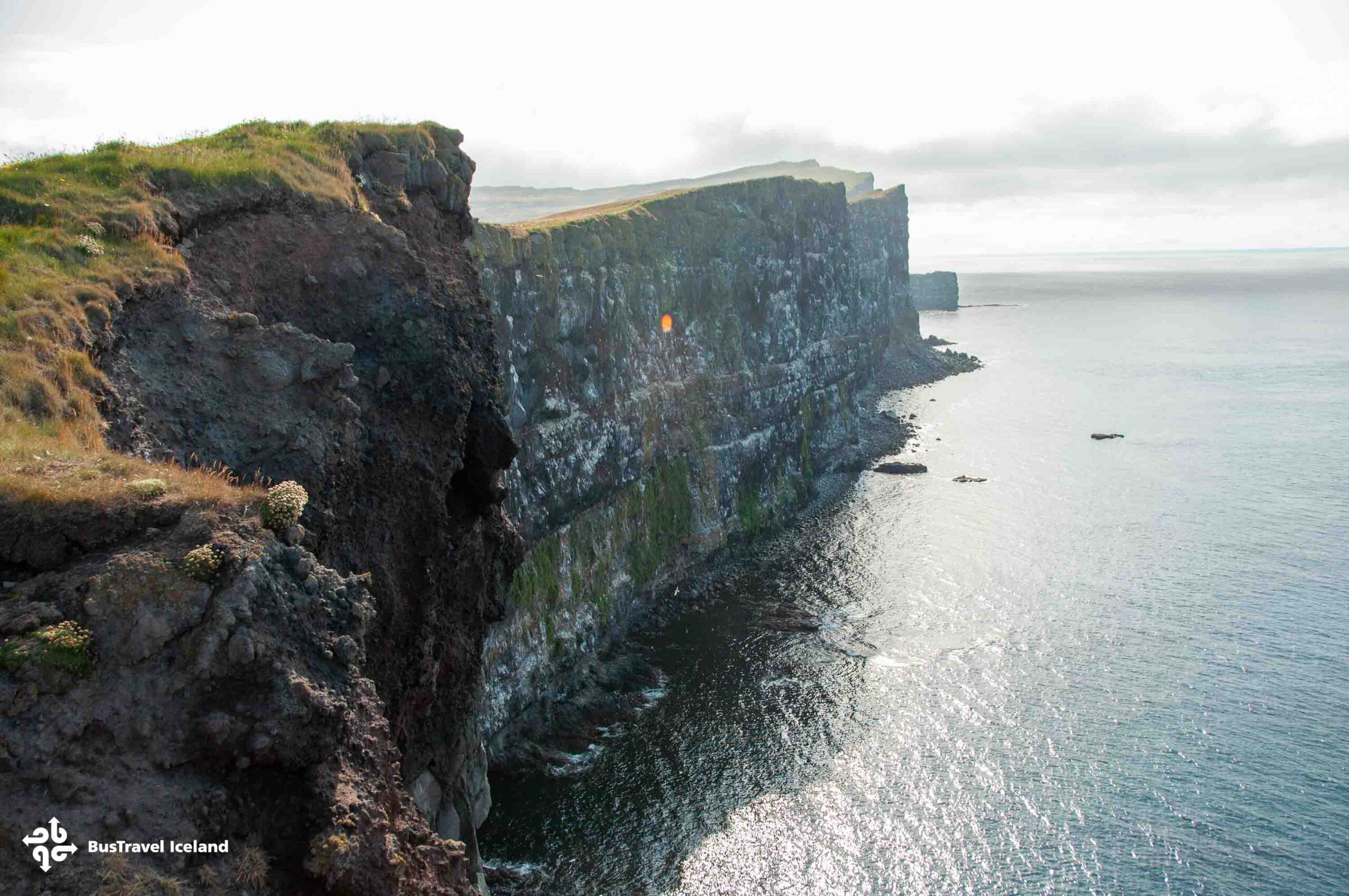 Látrabjarg Cliffs Westfjords in summer-0181 Látrabjarg Cliffs Westfjords in summer