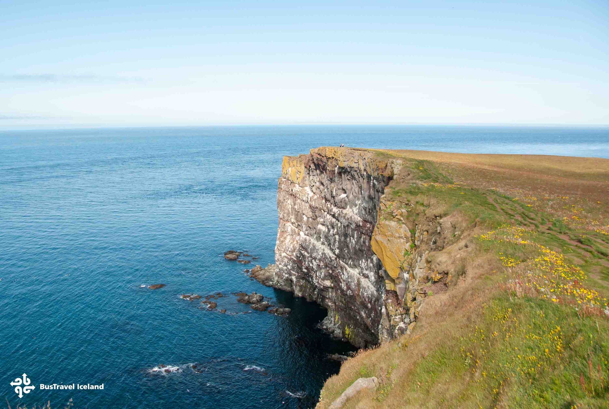 Látrabjarg Cliffs Westfjords in summer-0185 Látrabjarg Cliffs Westfjords in summer