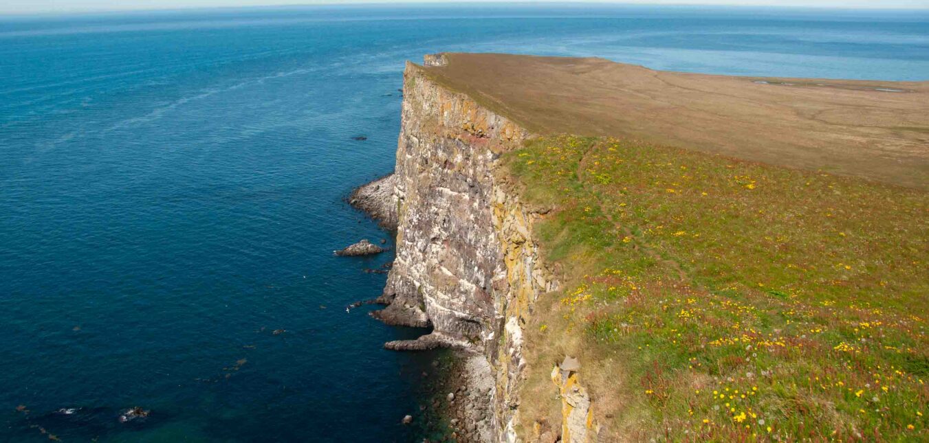 Látrabjarg Cliffs, Iceland: A Complete Guide to the Wild Edge of the Westfjords