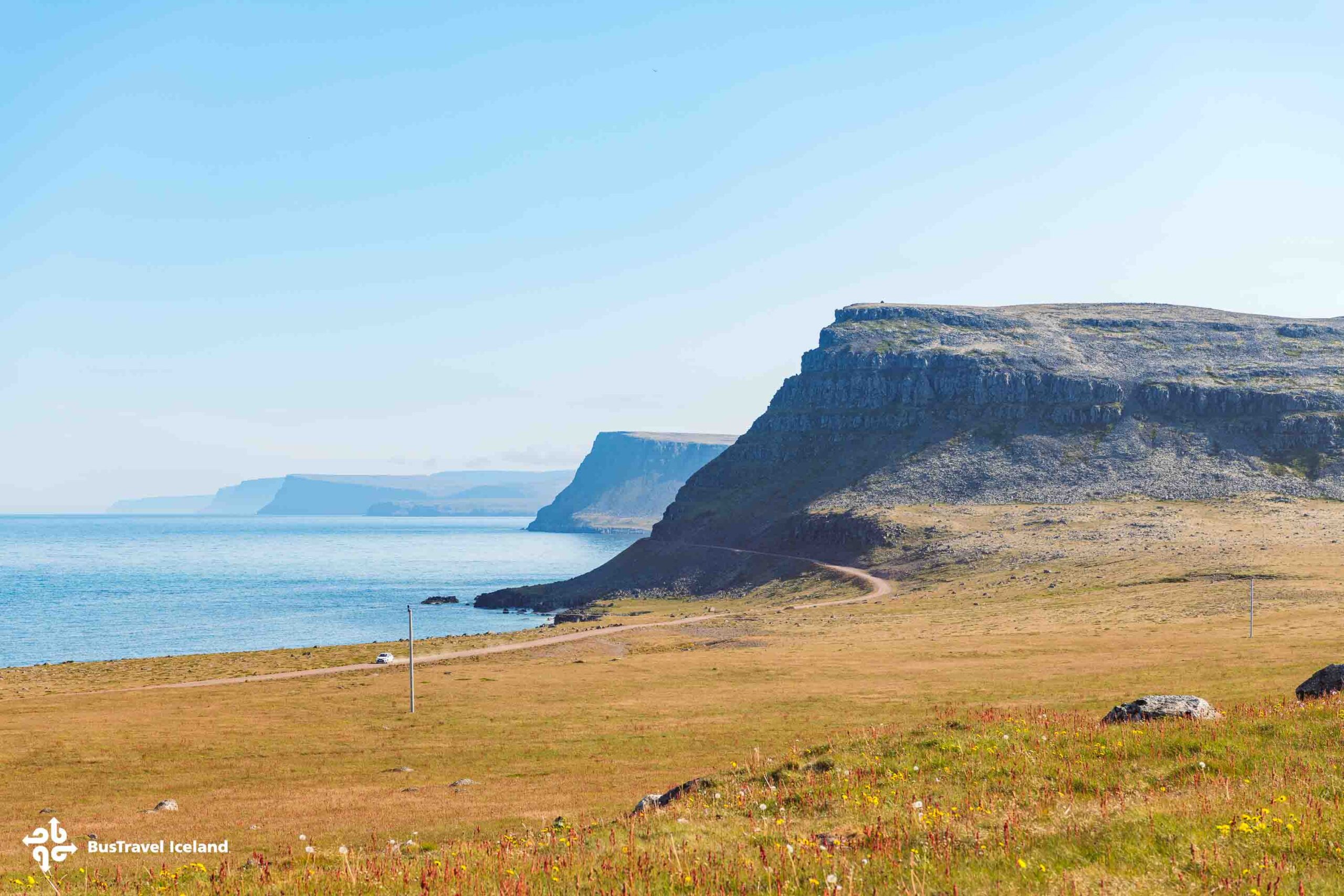 Látrabjarg Cliffs Westfjords in summer-3087 Látrabjarg Cliffs Westfjords in summer
