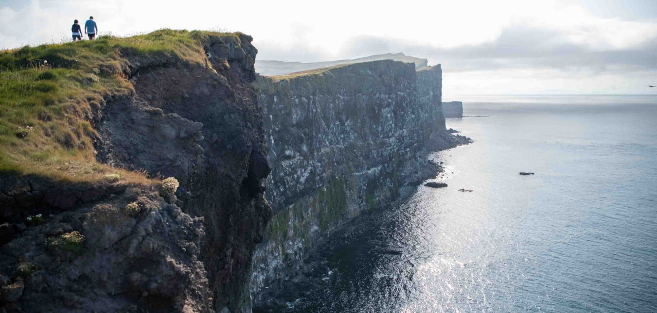 Látrabjarg Cliffs Westfjords in summer