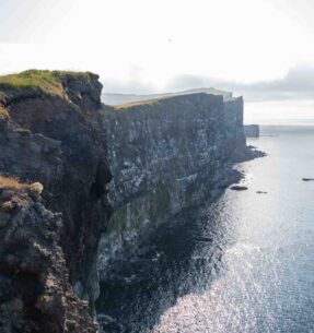 Látrabjarg Cliffs Westfjords in summer