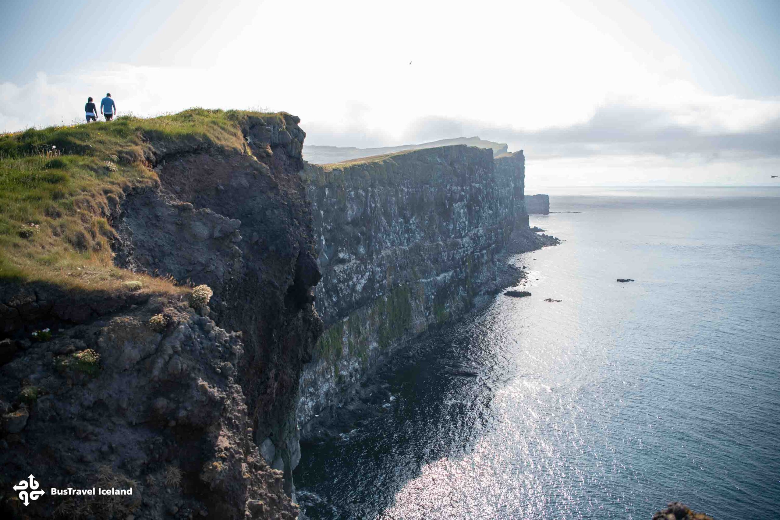 Látrabjarg Cliffs Westfjords in summer