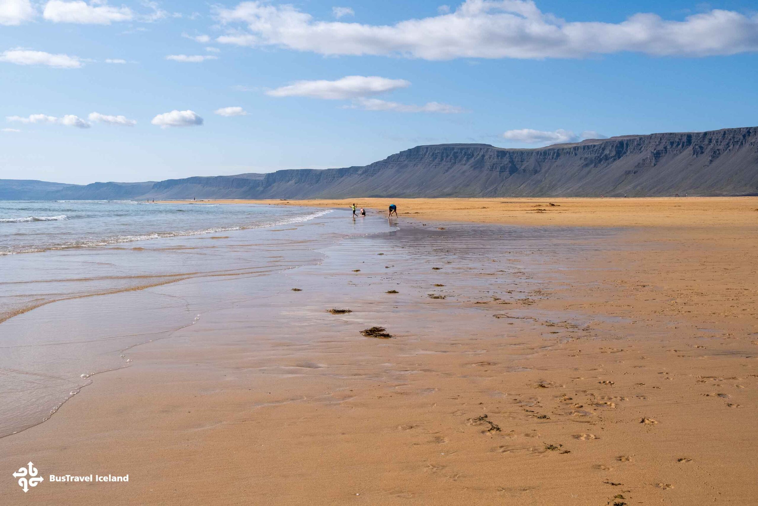 Rauðasandur beach Westfjords in summer-1701 Rauðasandur beach Westfjords in summer